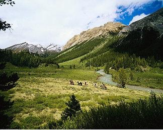 《太鼓达人 咚咚雷音祭》公开中文版限定情报！同步公开全新游戏情报