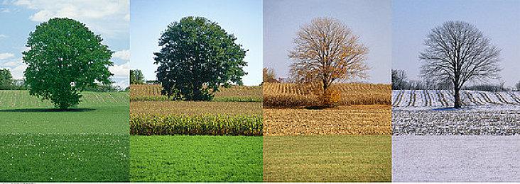 《无畏契约》将登陆WeGame平台 3.28公布更多消息